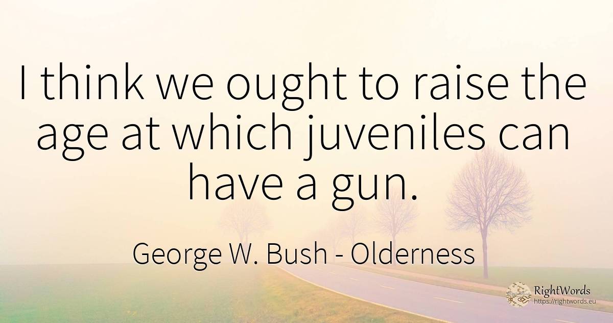 I think we ought to raise the age at which juveniles can... - George W. Bush, quote about age, olderness
