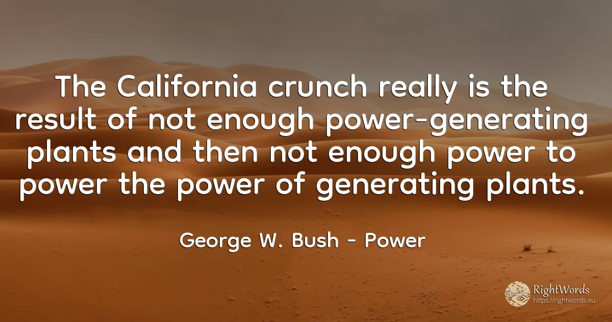 The California crunch really is the result of not enough... - George W. Bush, quote about power