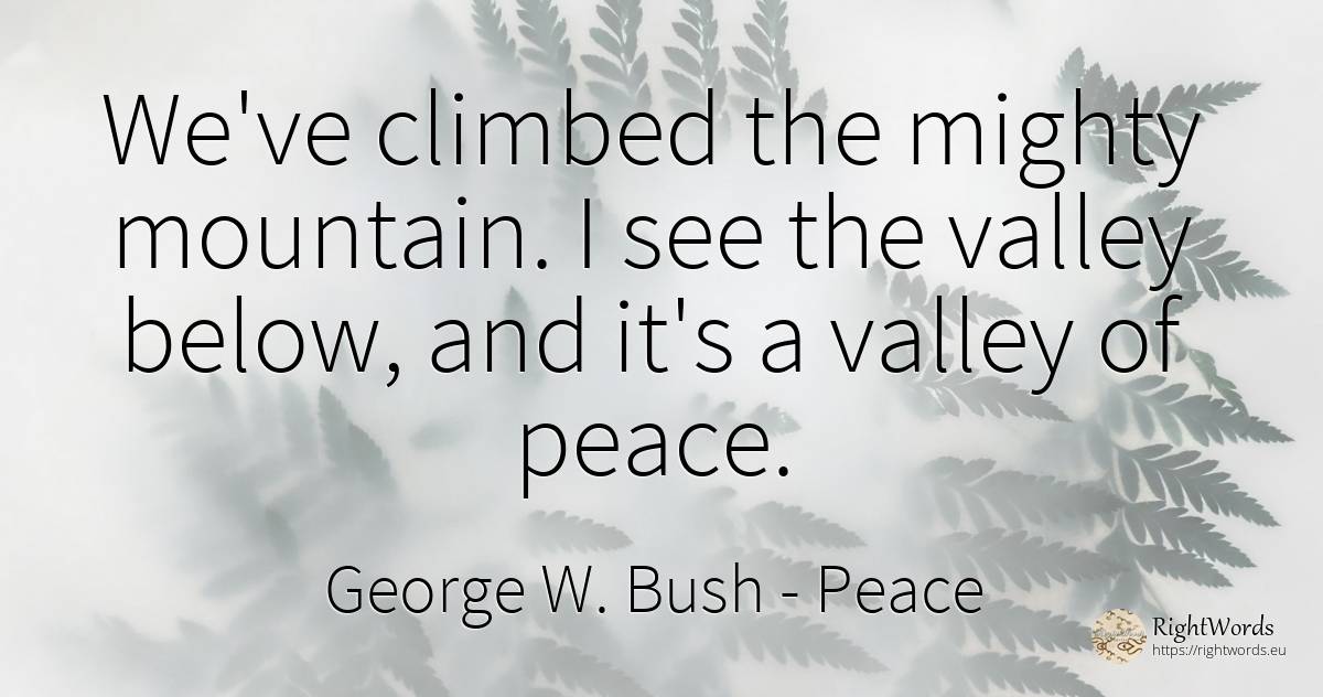 We've climbed the mighty mountain. I see the valley... - George W. Bush, quote about peace