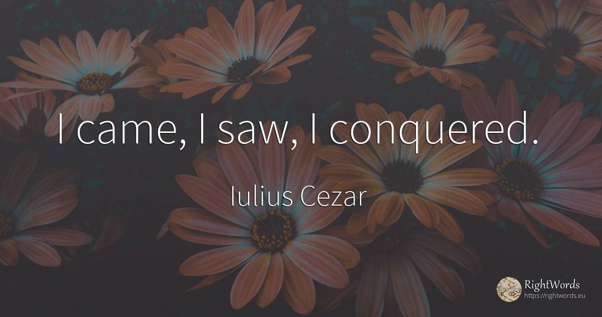 I came, I saw, I conquered. - Iulius Cezar