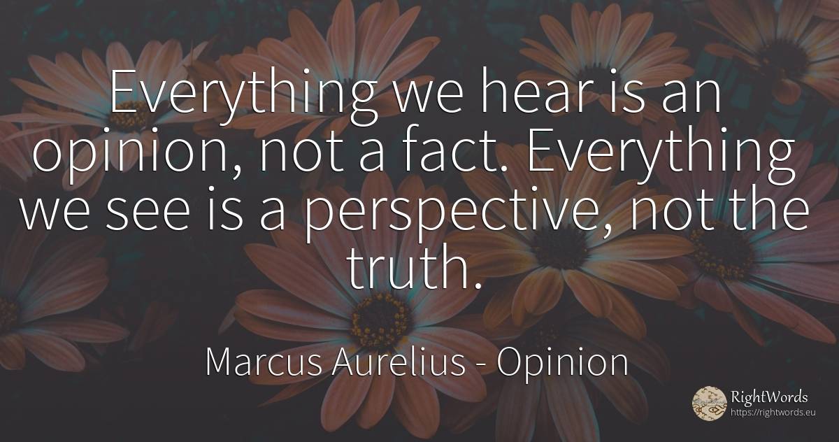 Everything we hear is an opinion, not a fact. Everything... - Marcus Aurelius (Marcus Catilius Severus), quote about vision, opinion, truth