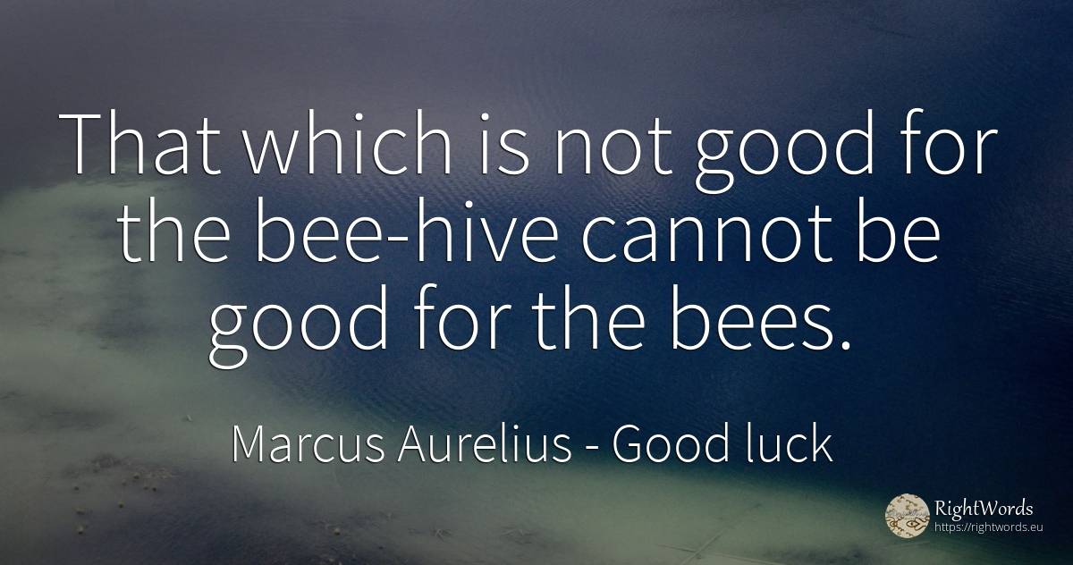 That which is not good for the bee-hive cannot be good... - Marcus Aurelius (Marcus Catilius Severus), quote about good, good luck