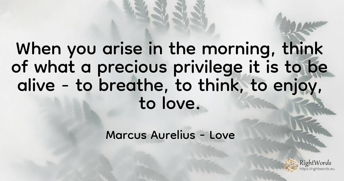 When you arise in the morning, think of what a precious... - Marcus Aurelius (Marcus Catilius Severus), quote about love