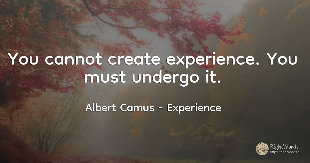 You cannot create experience. You must undergo it. - Albert Camus, quote about experience