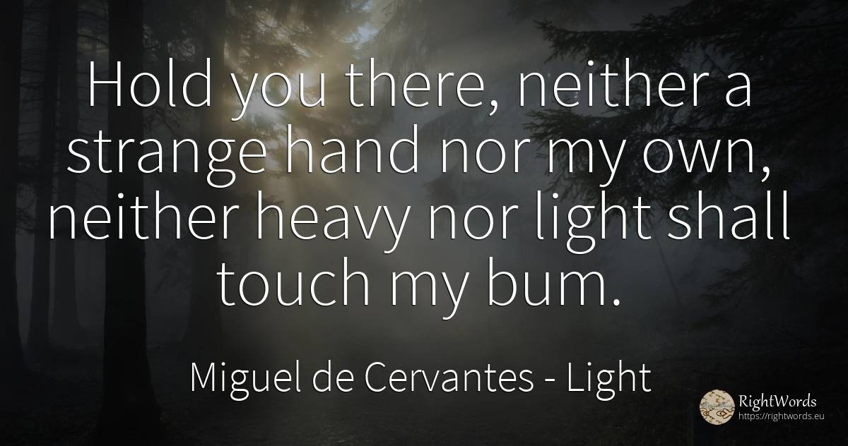 Hold you there, neither a strange hand nor my own, ... - Miguel de Cervantes, quote about light