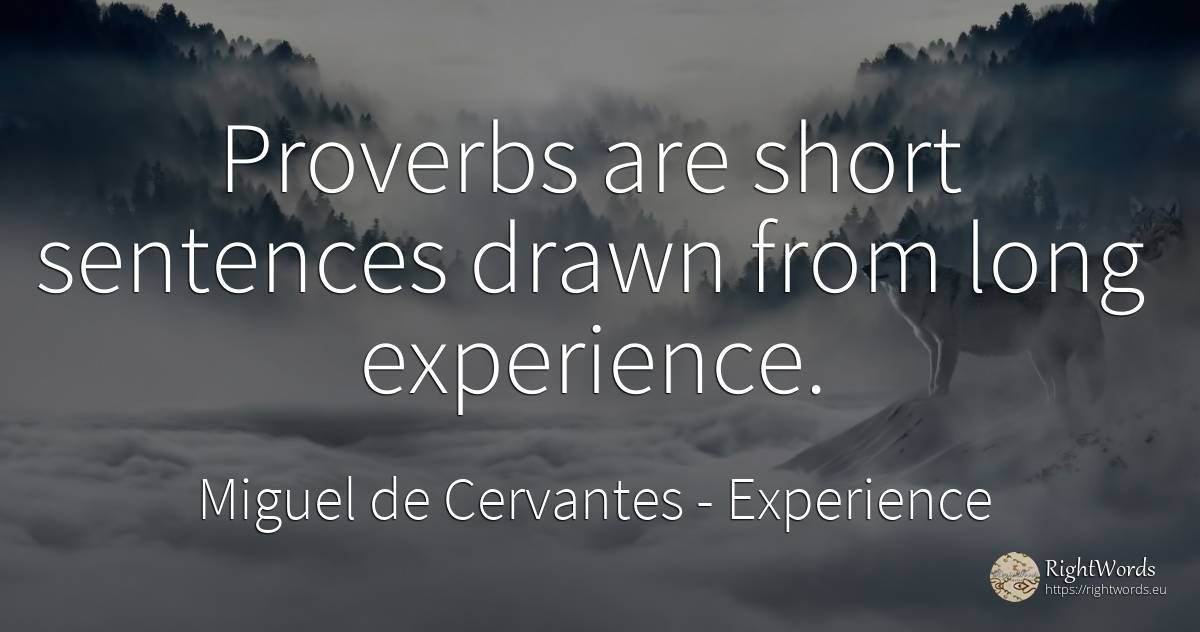 Proverbs are short sentences drawn from long experience. - Miguel de Cervantes, quote about experience