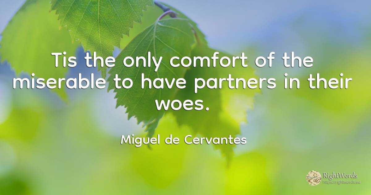 Tis the only comfort of the miserable to have partners in... - Miguel de Cervantes
