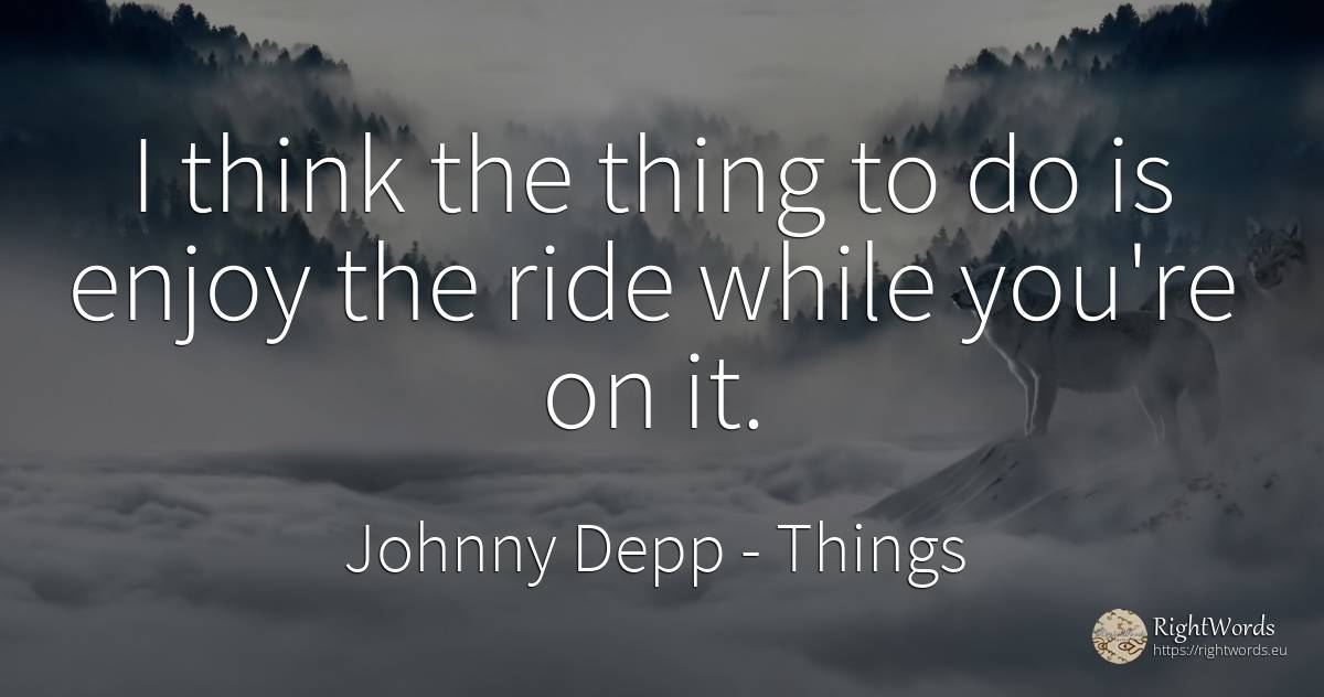 I think the thing to do is enjoy the ride while you're on... - Johnny Depp, quote about things