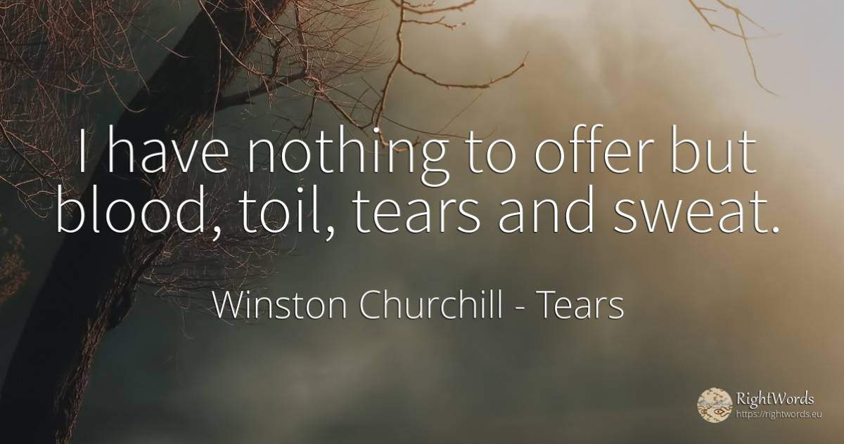 I have nothing to offer but blood, toil, tears and sweat. - Winston Churchill, quote about tears, blood, nothing