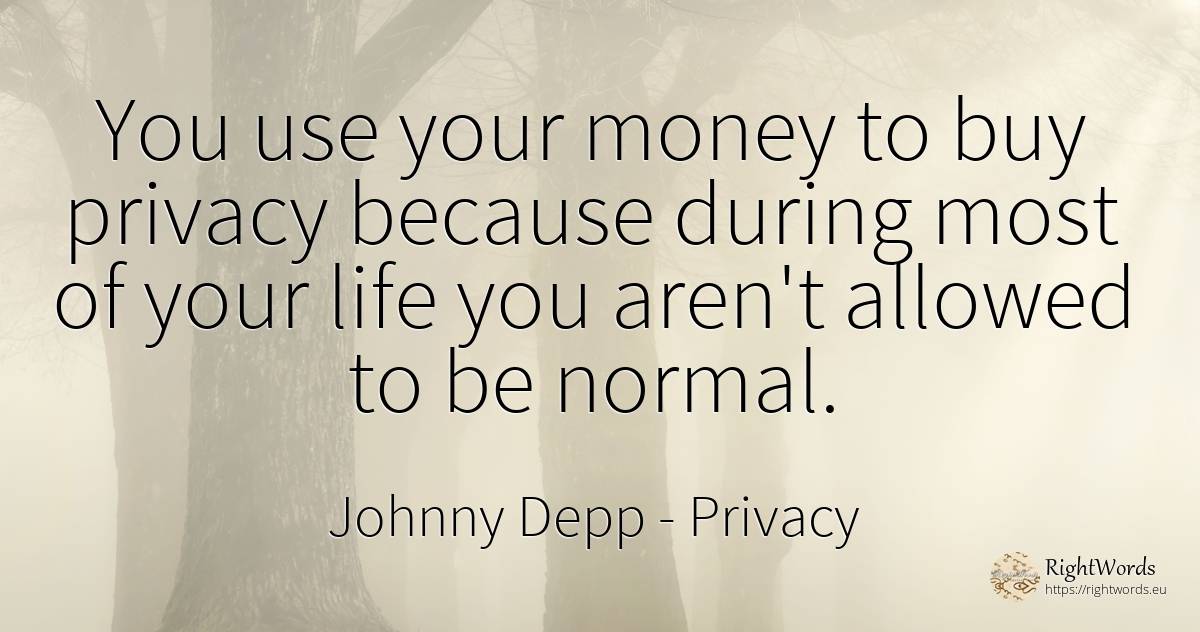 You use your money to buy privacy because during most of... - Johnny Depp, quote about privacy, commerce, use, money, life