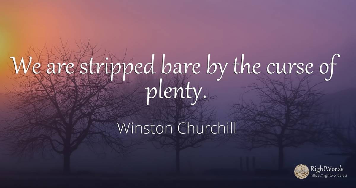 We are stripped bare by the curse of plenty. - Winston Churchill