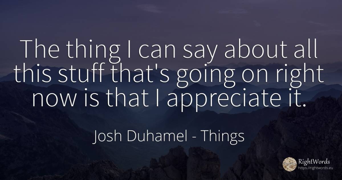 The thing I can say about all this stuff that's going on... - Josh Duhamel, quote about rightness, things