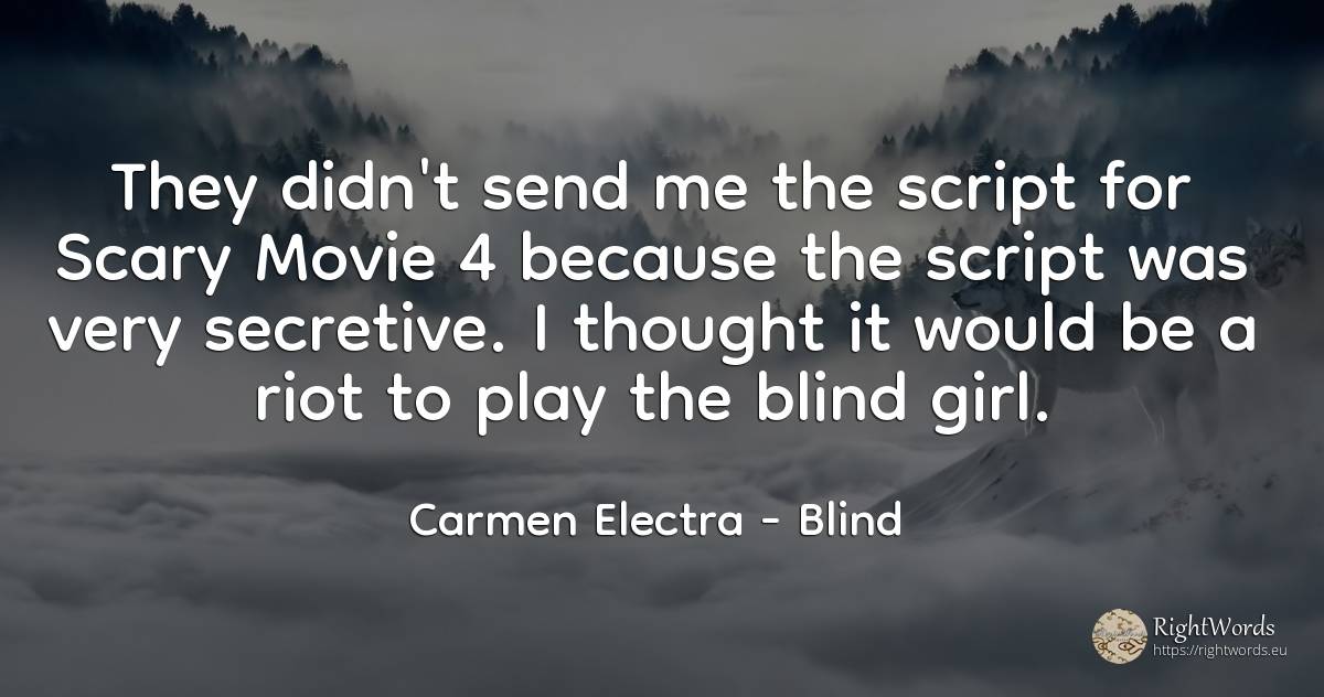 They didn't send me the script for Scary Movie 4 because... - Carmen Electra, quote about blind, thinking