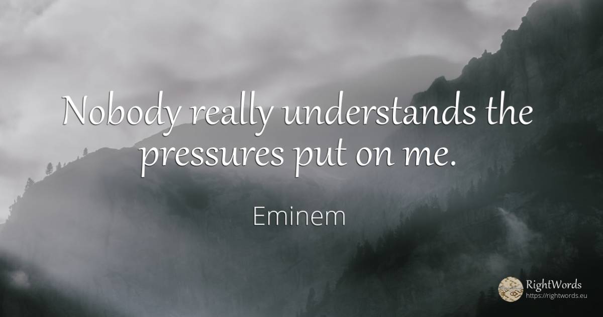 Nobody really understands the pressures put on me. - Eminem