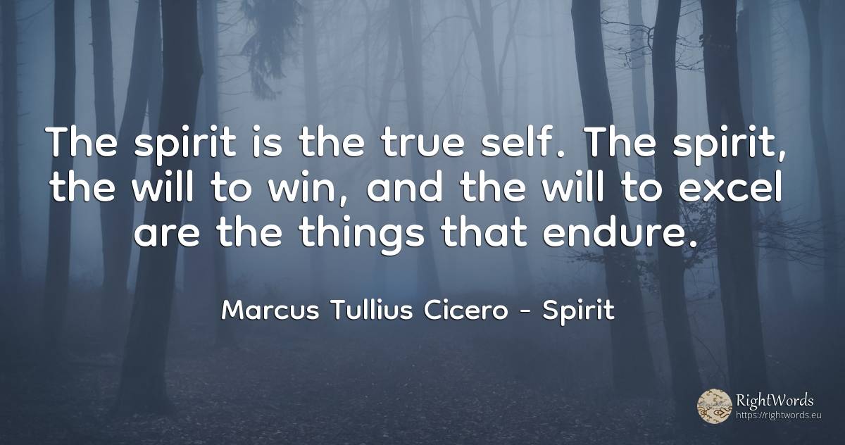 The spirit is the true self. The spirit, the will to win, ... - Marcus Tullius Cicero, quote about spirit, self-control, things