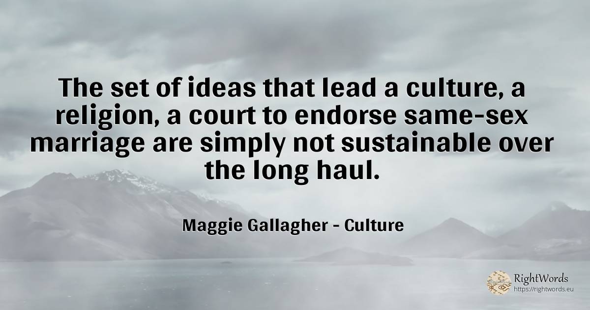 The set of ideas that lead a culture, a religion, a court... - Maggie Gallagher, quote about culture, marriage, religion, sex