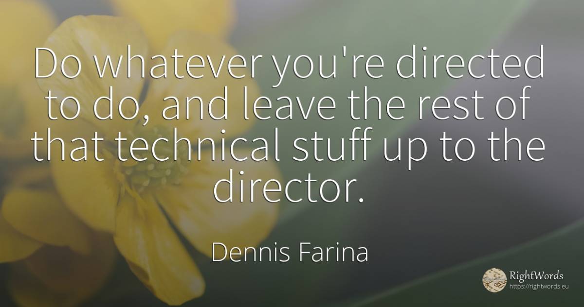 Do whatever you're directed to do, and leave the rest of... - Dennis Farina