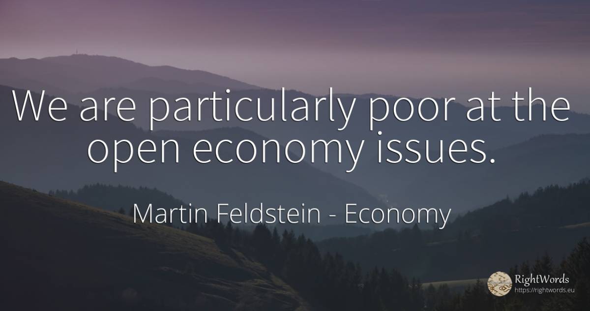 We are particularly poor at the open economy issues. - Martin Feldstein, quote about economy