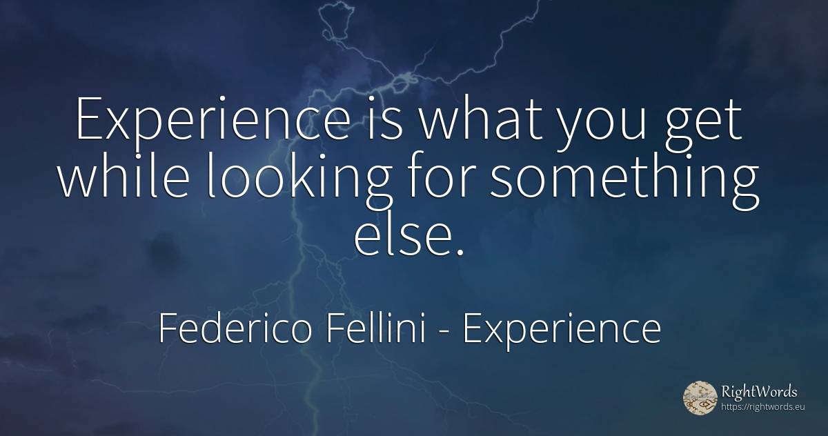 Experience is what you get while looking for something else. - Federico Fellini, quote about experience