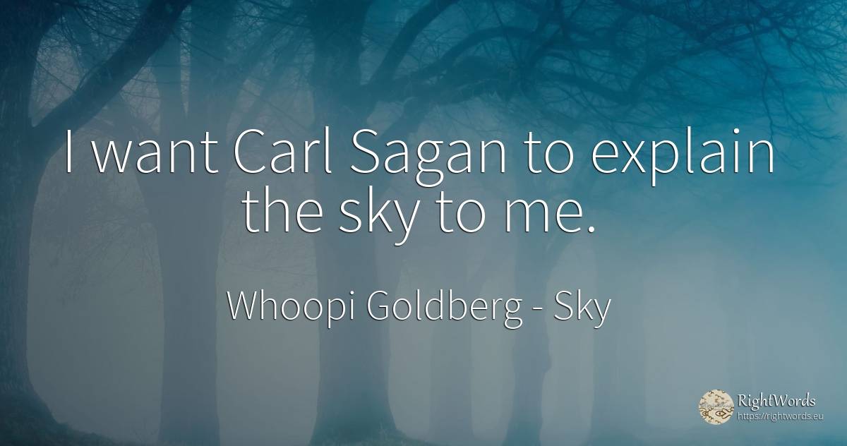 I want Carl Sagan to explain the sky to me. - Whoopi Goldberg, quote about sky