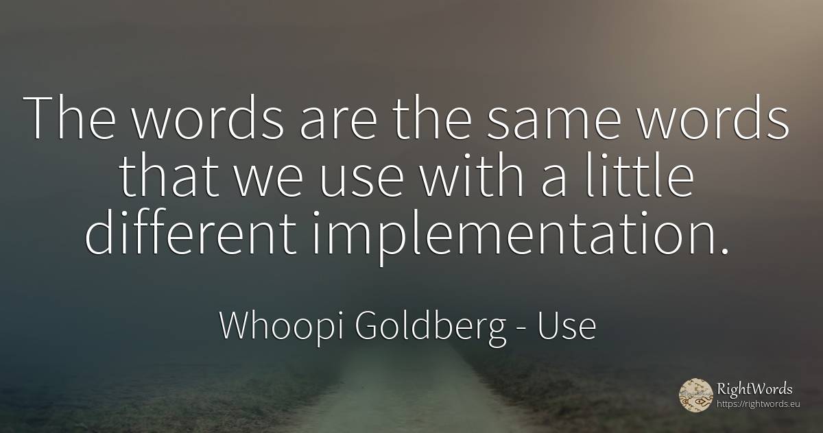 The words are the same words that we use with a little... - Whoopi Goldberg, quote about use