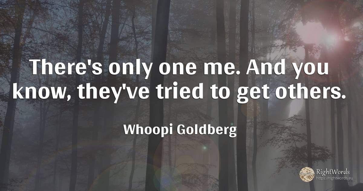 There's only one me. And you know, they've tried to get... - Whoopi Goldberg