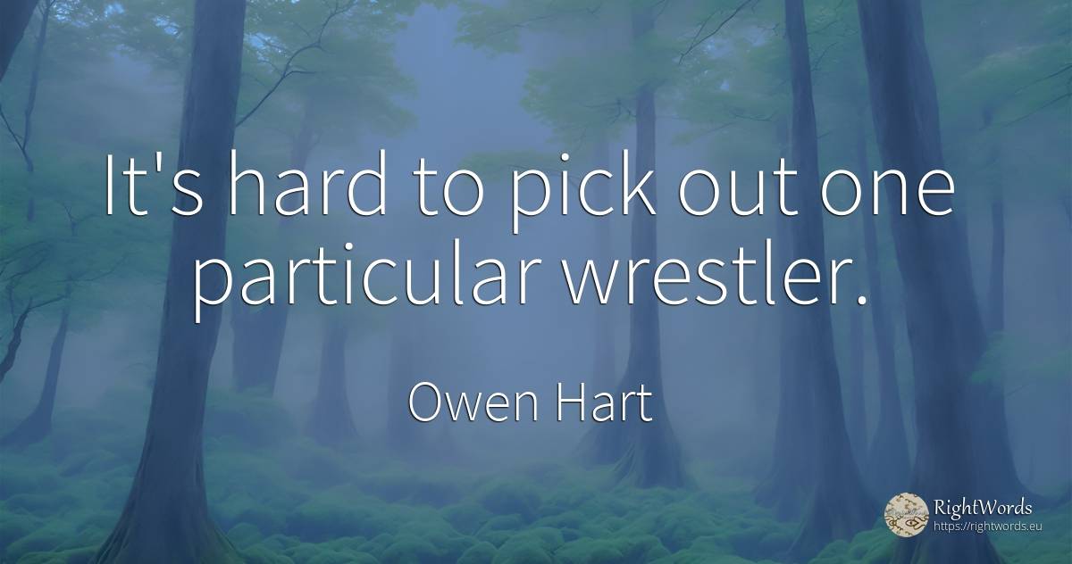 It's hard to pick out one particular wrestler. - Owen Hart