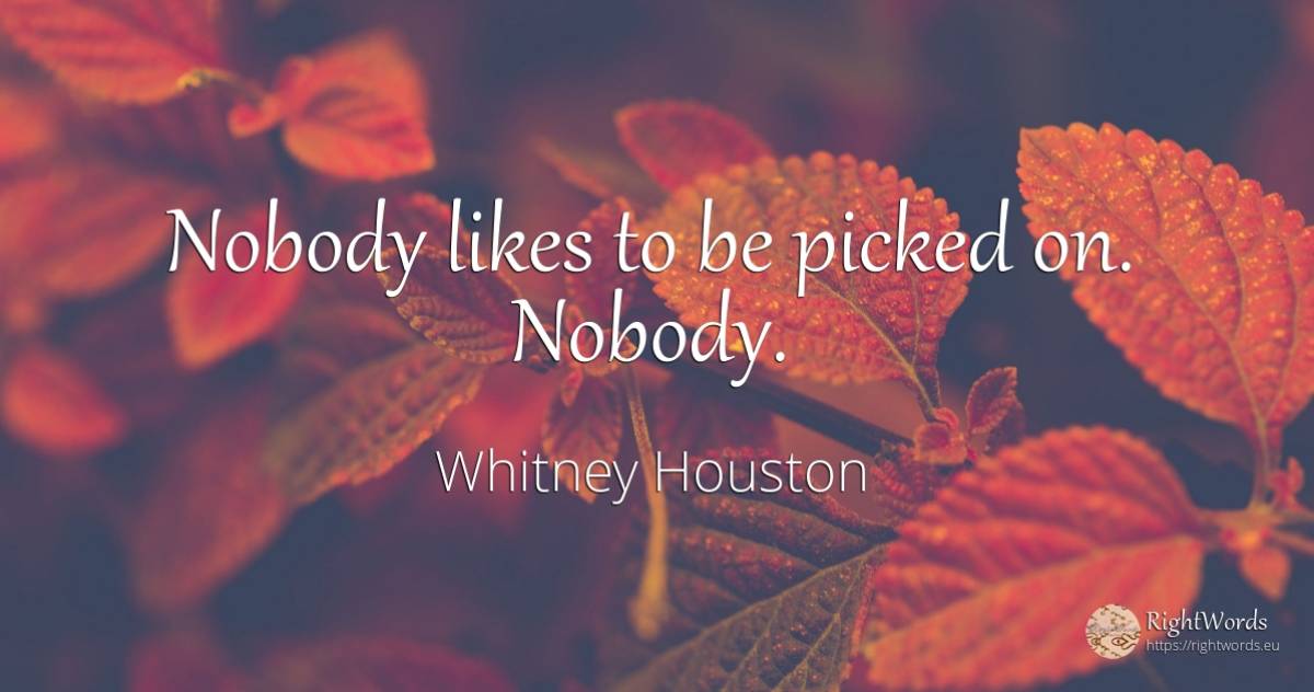 Nobody likes to be picked on. Nobody. - Whitney Houston