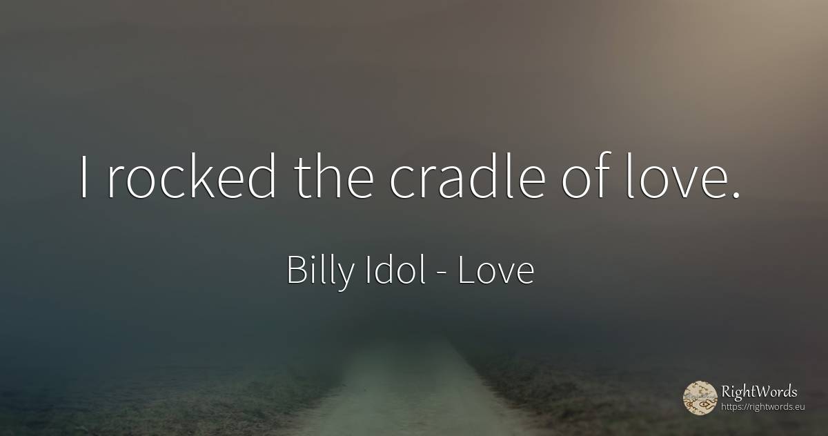I rocked the cradle of love. - Billy Idol, quote about love