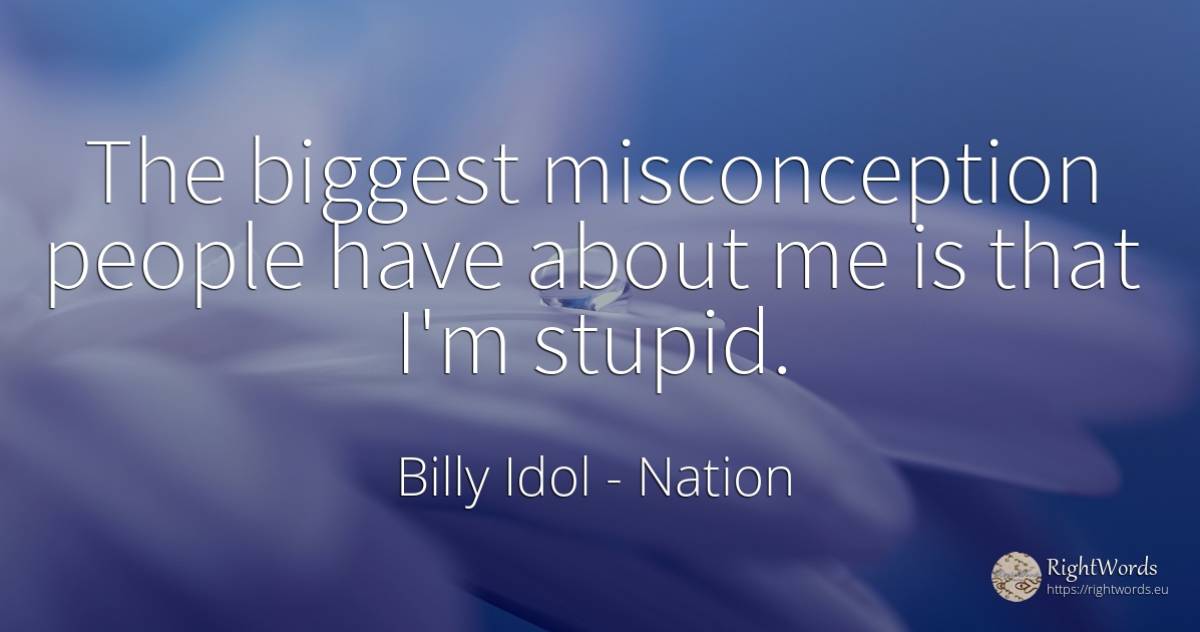 The biggest misconception people have about me is that... - Billy Idol, quote about nation, people