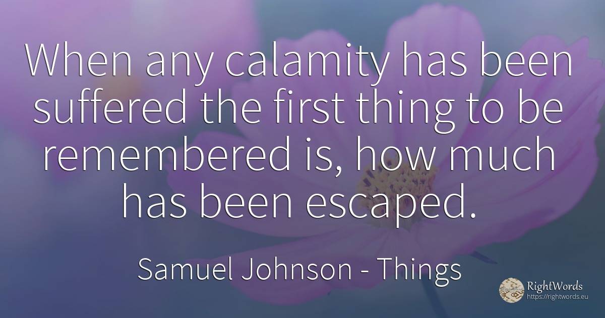 When any calamity has been suffered the first thing to be... - Samuel Johnson, quote about things