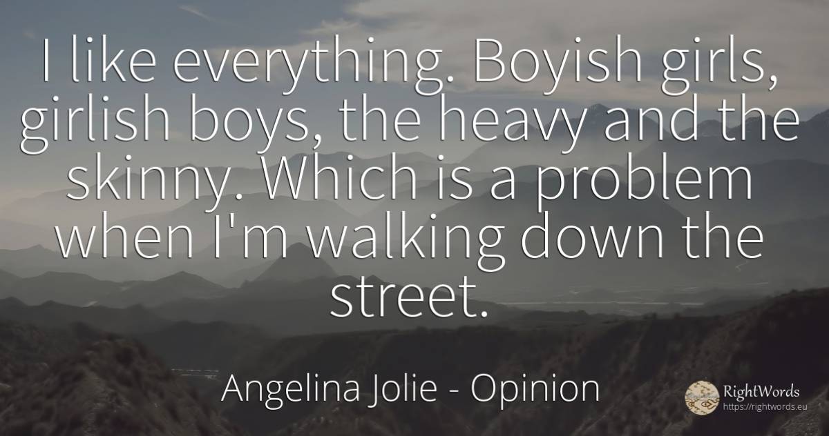 I like everything. Boyish girls, girlish boys, the heavy... - Angelina Jolie, quote about opinion