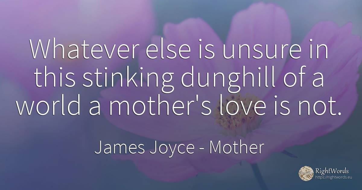Whatever else is unsure in this stinking dunghill of a... - James Joyce, quote about mother, world, love