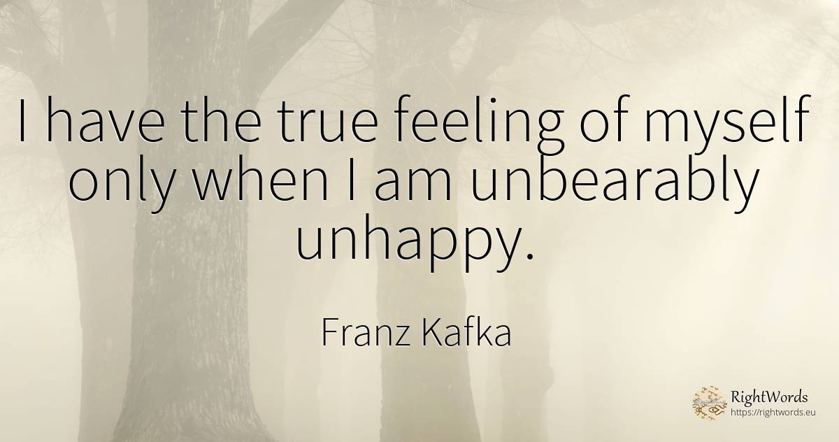 I have the true feeling of myself only when I am... - Franz Kafka