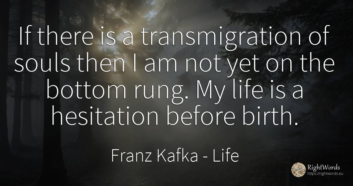 If there is a transmigration of souls then I am not yet... - Franz Kafka, quote about life