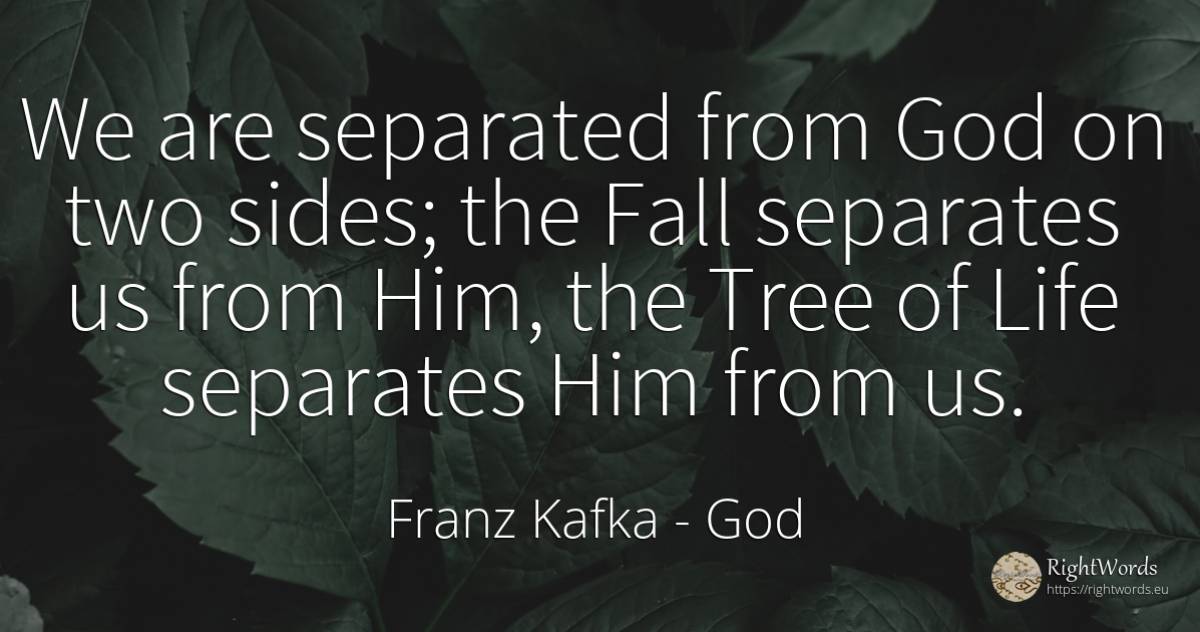 We are separated from God on two sides; the Fall... - Franz Kafka, quote about god, fall, life