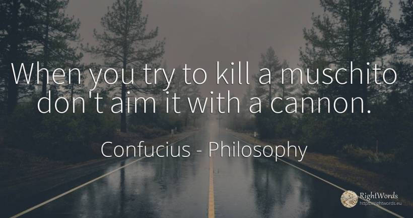 When you try to kill a muschito don't aim it with a cannon. - Confucius, quote about philosophy