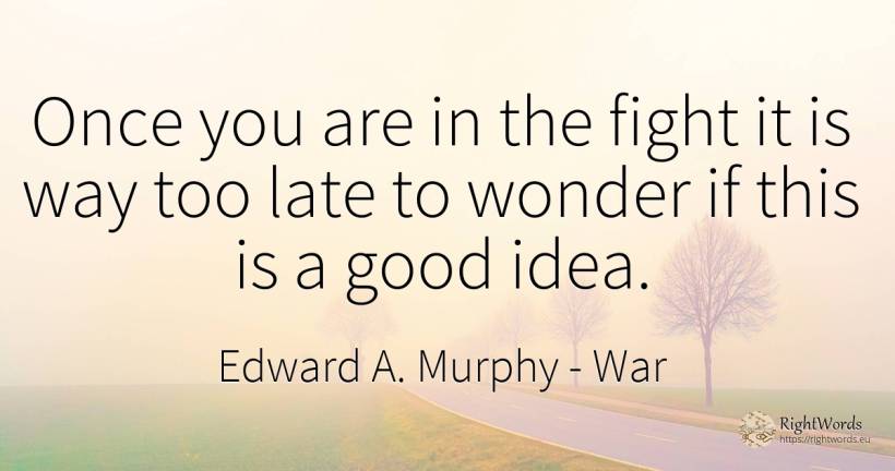 Once you are in the fight it is way too late to wonder if... - Edward A. Murphy, quote about war, miracle, fight, idea, good, good luck
