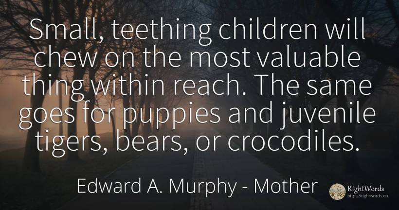 Small, teething children will chew on the most valuable... - Edward A. Murphy, quote about mother, children, things