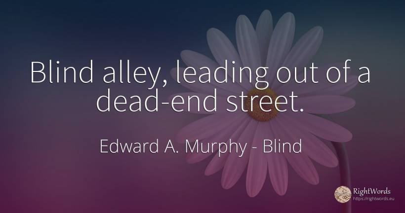 Blind alley, leading out of a dead-end street. - Edward A. Murphy, quote about blind, end