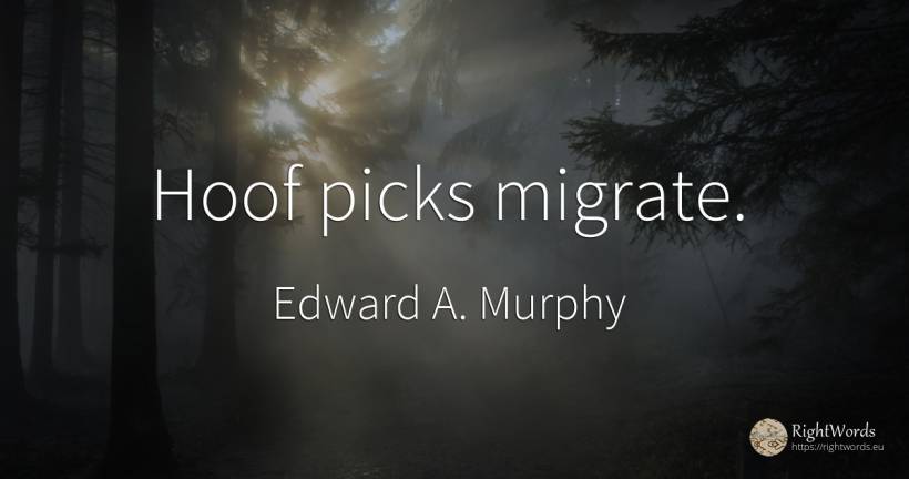 Hoof picks migrate. - Edward A. Murphy