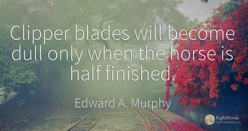 Clipper blades will become dull only when the horse is... - Edward A. Murphy