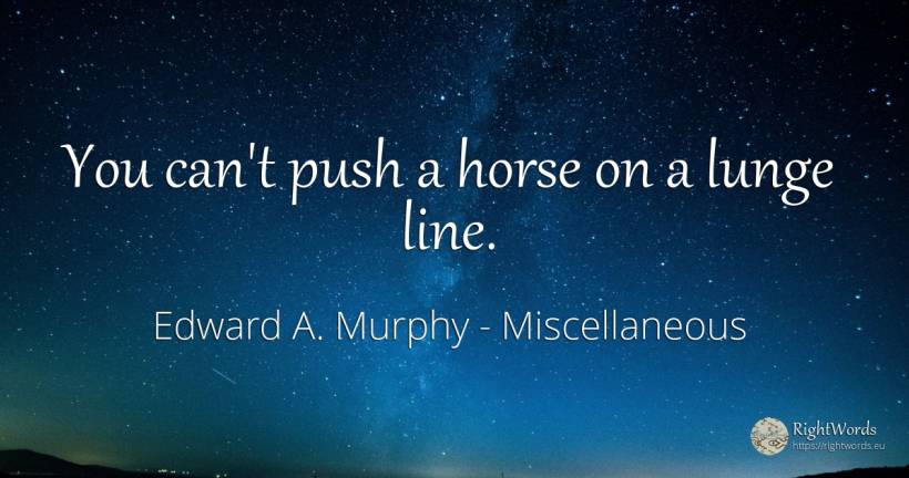 You can't push a horse on a lunge line. - Edward A. Murphy
