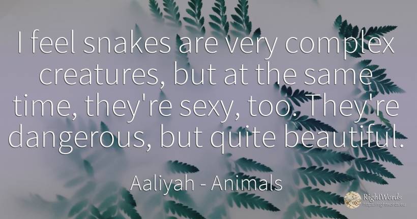 I feel snakes are very complex creatures, but at the same... - Aaliyah, quote about animals, sex, time