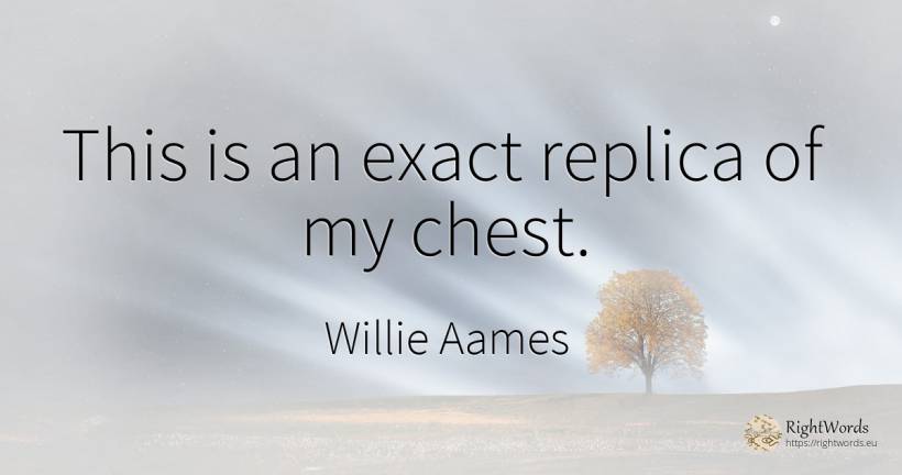This is an exact replica of my chest. - Willie Aames