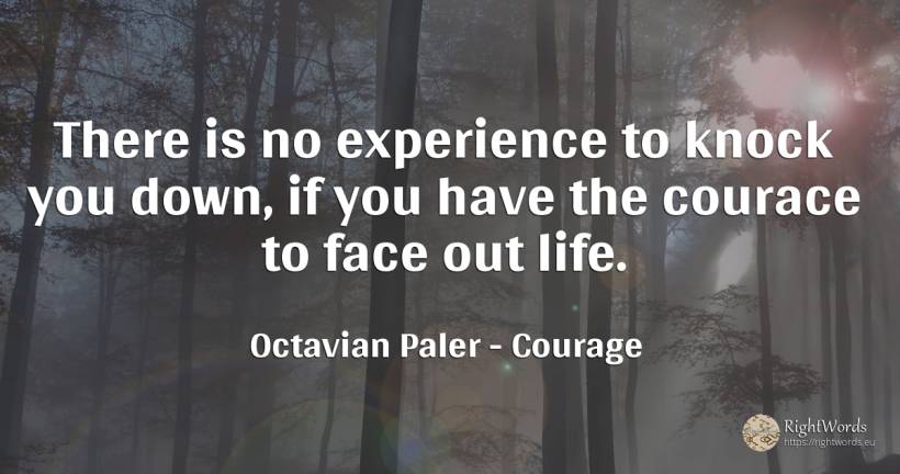 There is no experience to knock you down, if you have the... - Octavian Paler, quote about courage, experience, life, face
