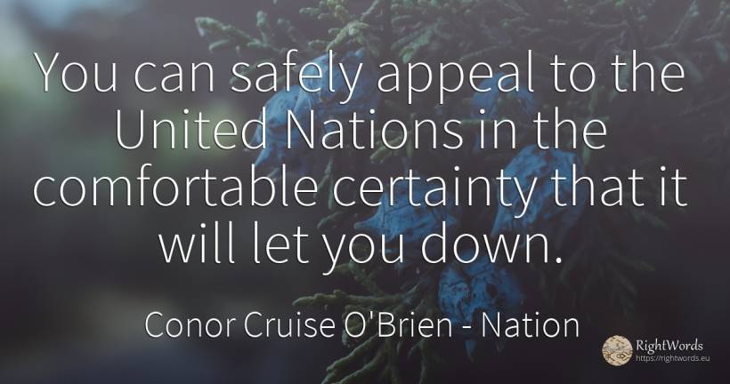 You can safely appeal to the United Nations in the... - Conor Cruise O'Brien, quote about nation