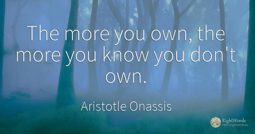 The more you own, the more you know you don't own. - Aristotle Onassis (Aristotle Sokratis Onassis)