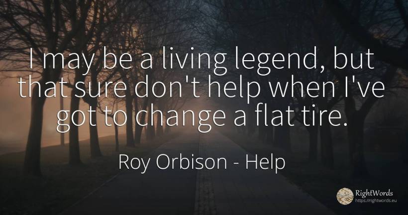 I may be a living legend, but that sure don't help when... - Roy Orbison, quote about help, change