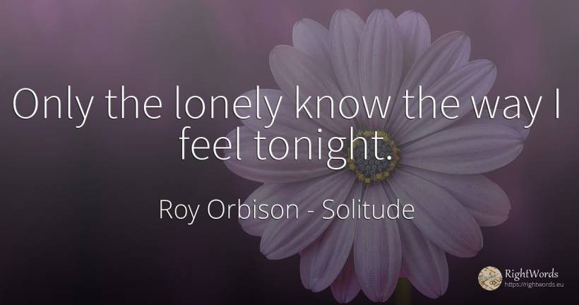 Only the lonely know the way I feel tonight. - Roy Orbison, quote about solitude